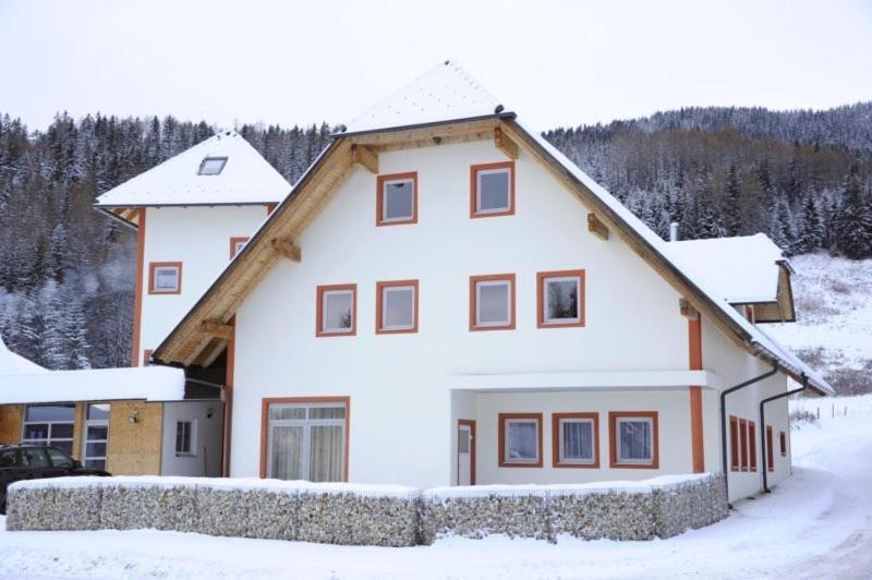 Appartementhaus Hochegg Lachtal Ngoại thất bức ảnh